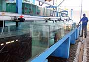 Peresmian Maluku Utara Agro-Marine Technopark
